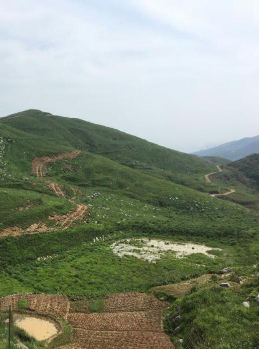 湖南省冷水江市錫礦山地區生態修復項目