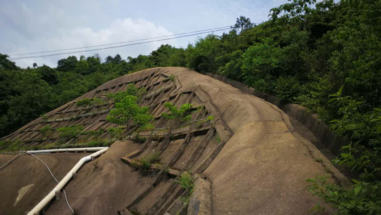醴陵市國土資源局后山護坡生態覆綠項目